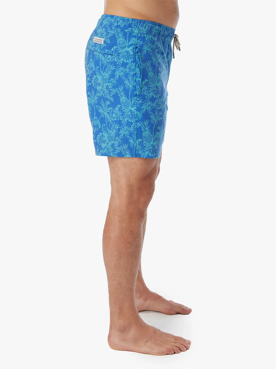 Bayberry Trunk | Tropical Cobalt