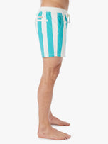 Thumbnail 4 of Bungalow Trunk | Cabana Stripe